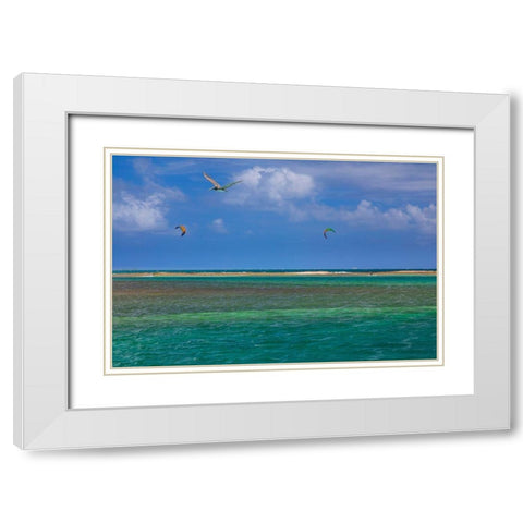 Caribbean-Grenada-Union Island Surf kites and pelican flying over ocean White Modern Wood Framed Art Print with Double Matting by Jaynes Gallery