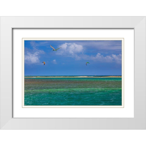 Caribbean-Grenada-Union Island Surf kites and pelican flying over ocean White Modern Wood Framed Art Print with Double Matting by Jaynes Gallery