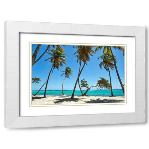 French West Indies-Guadeloupe Marie-Galante Island-part of France Beach at Capesterre  White Modern Wood Framed Art Print with Double Matting by Buhl, Karl