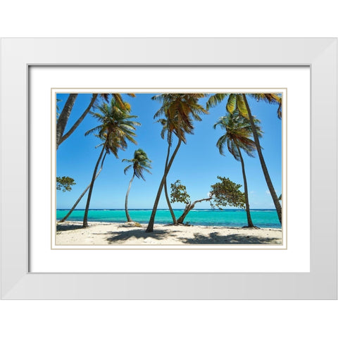 French West Indies-Guadeloupe Marie-Galante Island-part of France Beach at Capesterre  White Modern Wood Framed Art Print with Double Matting by Buhl, Karl