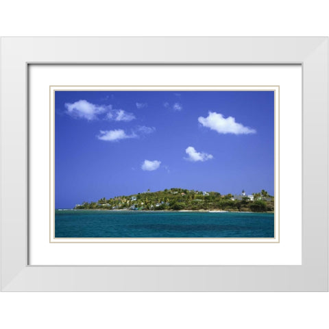 Puerto Rico, Viegues Isl Bay at Isabel Segunda White Modern Wood Framed Art Print with Double Matting by Flaherty, Dennis