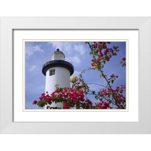 Puerto Rico, Viegues Island Coastal lighthouse White Modern Wood Framed Art Print with Double Matting by Flaherty, Dennis