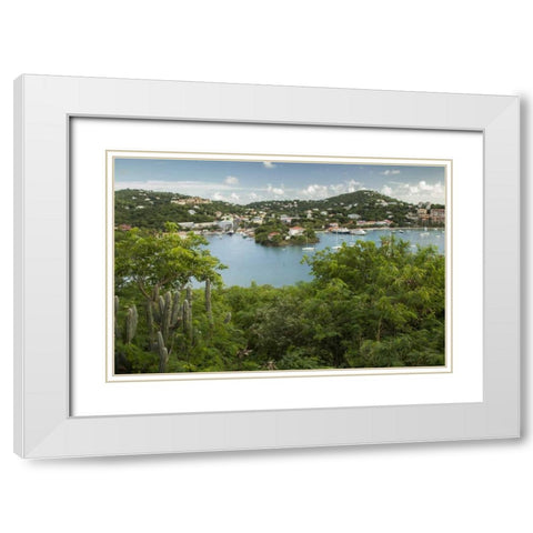 Caribbean, USA Virgin Islands, St John Cruz Bay White Modern Wood Framed Art Print with Double Matting by Illg, Cathy and Gordon