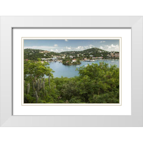 Caribbean, USA Virgin Islands, St John Cruz Bay White Modern Wood Framed Art Print with Double Matting by Illg, Cathy and Gordon