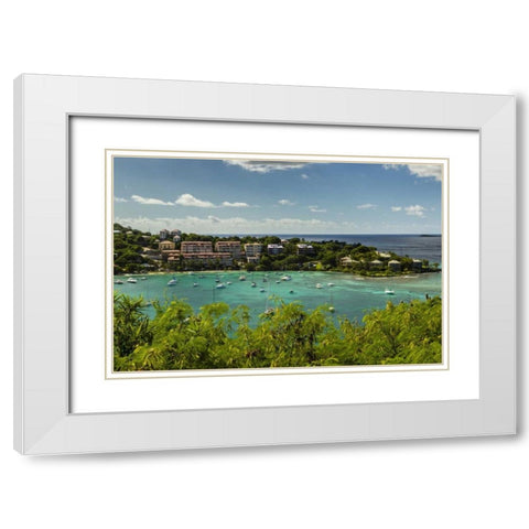 Caribbean, USA Virgin Islands, St John Cruz Bay White Modern Wood Framed Art Print with Double Matting by Illg, Cathy and Gordon