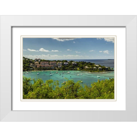 Caribbean, USA Virgin Islands, St John Cruz Bay White Modern Wood Framed Art Print with Double Matting by Illg, Cathy and Gordon