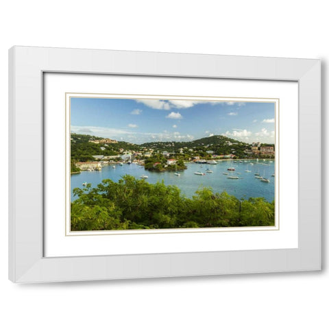 Caribbean, USA Virgin Islands, St John Cruz Bay White Modern Wood Framed Art Print with Double Matting by Illg, Cathy and Gordon
