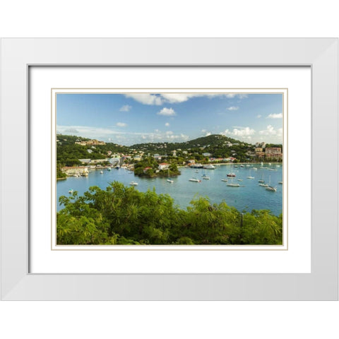 Caribbean, USA Virgin Islands, St John Cruz Bay White Modern Wood Framed Art Print with Double Matting by Illg, Cathy and Gordon