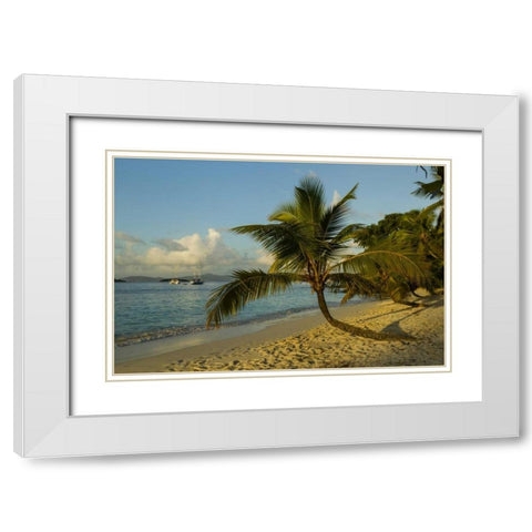 Caribbean, USA Virgin Islands Beach scenic White Modern Wood Framed Art Print with Double Matting by Illg, Cathy and Gordon