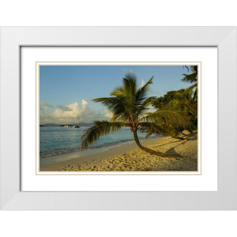 Caribbean, USA Virgin Islands Beach scenic White Modern Wood Framed Art Print with Double Matting by Illg, Cathy and Gordon