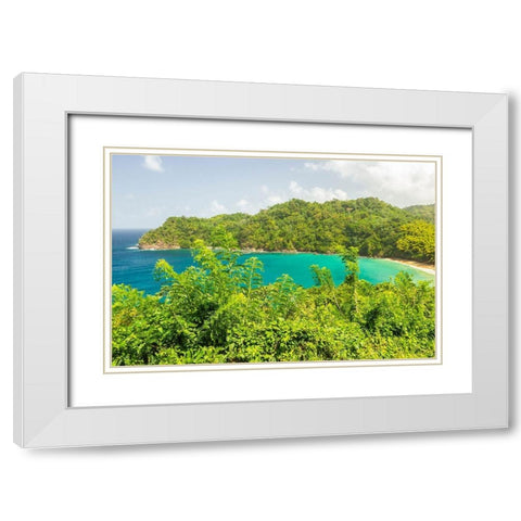 Caribbean-Tobago Ocean cove and jungle landscape  White Modern Wood Framed Art Print with Double Matting by Jaynes Gallery