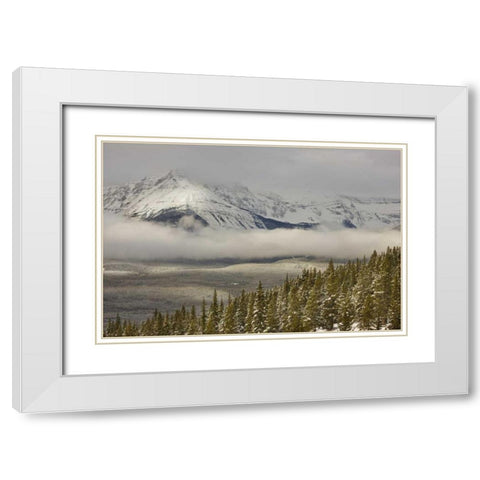 Canada, Banff NP A low cloud bank in the valley White Modern Wood Framed Art Print with Double Matting by Grall, Don