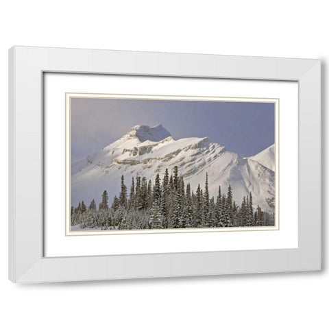 Canada, Alberta, Banff NP Summit of Nigel Peak White Modern Wood Framed Art Print with Double Matting by Grall, Don