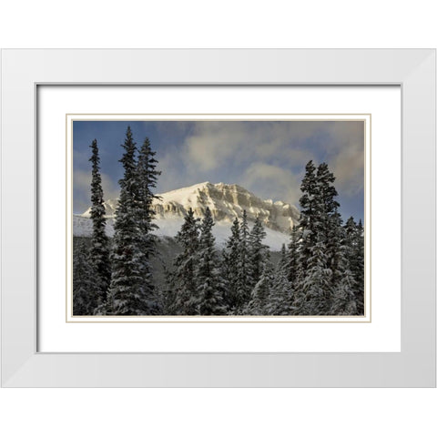 Canada, Banff NP Bow Peak after a snowstorm White Modern Wood Framed Art Print with Double Matting by Grall, Don