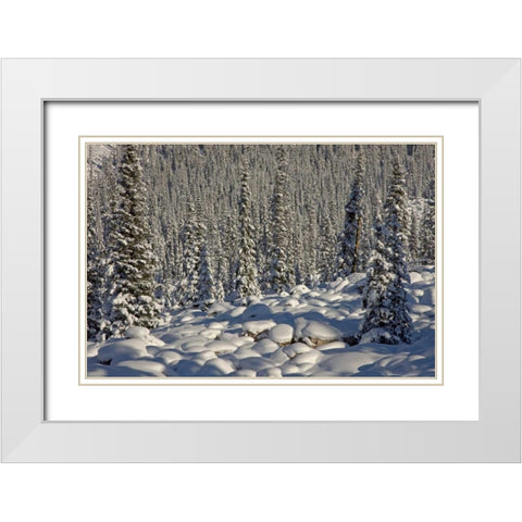 Canada, Alberta, Jasper NP Snowy rocks and trees White Modern Wood Framed Art Print with Double Matting by Grall, Don