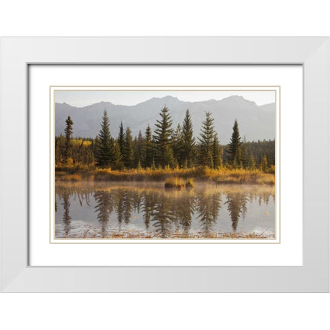 Canada, Alberta, Jasper NP Cottonwood Slough White Modern Wood Framed Art Print with Double Matting by Paulson, Don