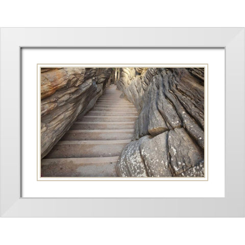 Canada, Alberta, Jasper NP Stairway on trail White Modern Wood Framed Art Print with Double Matting by Paulson, Don