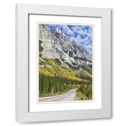 Canada, Alberta, Jasper NP The Icefields Parkway White Modern Wood Framed Art Print with Double Matting by Paulson, Don