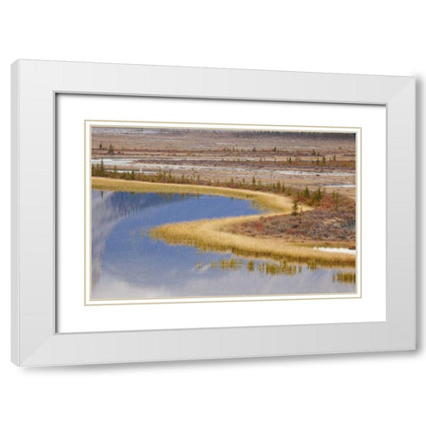 Canada, Alberta, Jasper NP Sunwapta River White Modern Wood Framed Art Print with Double Matting by Paulson, Don