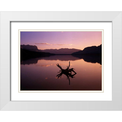 Canada, Alberta, Jasper Lake in Jasper NP White Modern Wood Framed Art Print with Double Matting by Grandmaison, Mike
