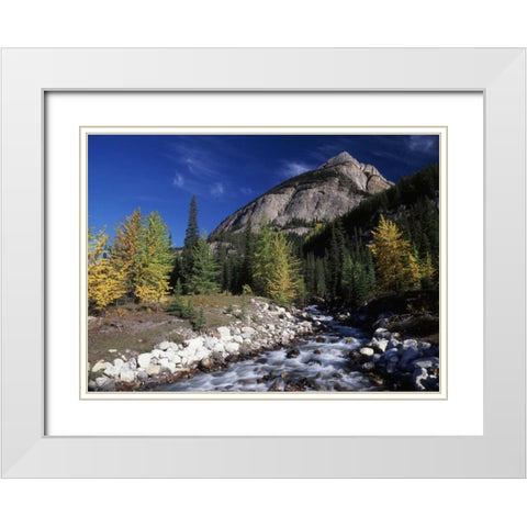 Canada, Alberta, Rampart Creek at Banff NP White Modern Wood Framed Art Print with Double Matting by Grandmaison, Mike