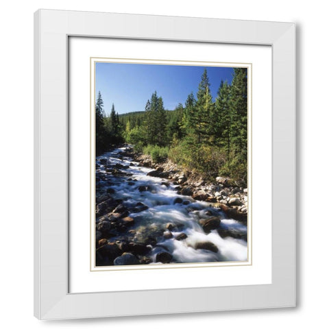 Canada, Alberta, mountain stream in Jasper NP White Modern Wood Framed Art Print with Double Matting by Grandmaison, Mike