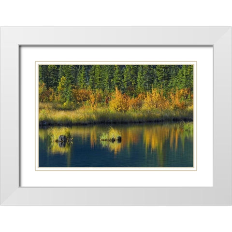 Canada, Banff NP Vermillion Lake in fall White Modern Wood Framed Art Print with Double Matting by Grandmaison, Mike