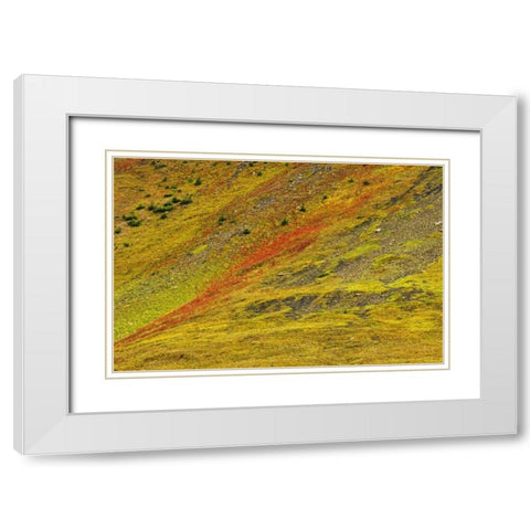 Canada, Alberta Autumn in the Canadian Rocky Mts White Modern Wood Framed Art Print with Double Matting by Grandmaison, Mike