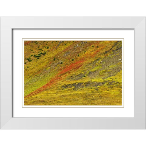 Canada, Alberta Autumn in the Canadian Rocky Mts White Modern Wood Framed Art Print with Double Matting by Grandmaison, Mike