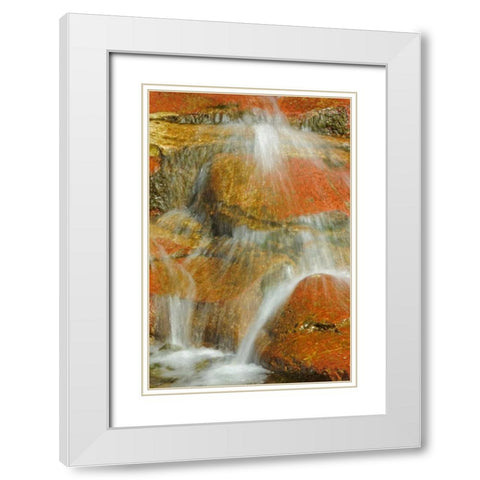 Canada, Alberta, Stream in Red Rock Canyon White Modern Wood Framed Art Print with Double Matting by Grandmaison, Mike