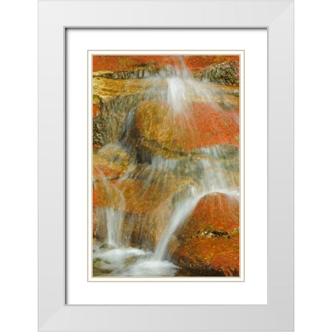 Canada, Alberta, Stream in Red Rock Canyon White Modern Wood Framed Art Print with Double Matting by Grandmaison, Mike
