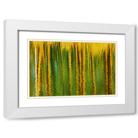 Canada, Alberta, Elk Island NP Aspen by a pond White Modern Wood Framed Art Print with Double Matting by Grandmaison, Mike