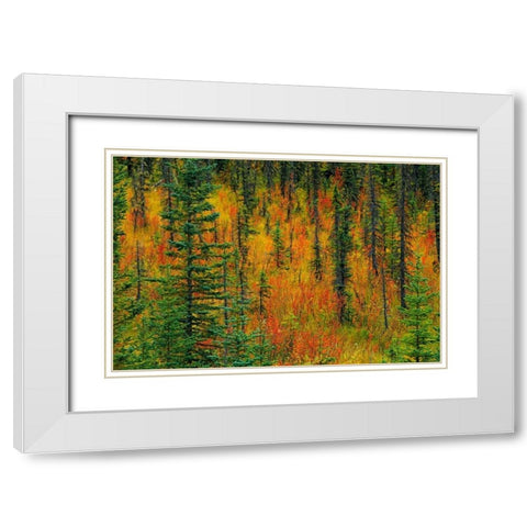 Canada, Alberta Autumn in a meadow White Modern Wood Framed Art Print with Double Matting by Grandmaison, Mike