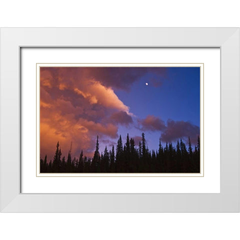 Canada, Alberta, Jasper NP Clouds over forest White Modern Wood Framed Art Print with Double Matting by Grandmaison, Mike