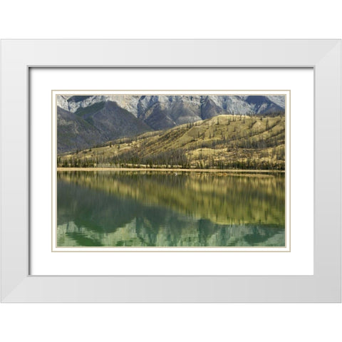 Canada, Jasper NP Reflection on Talbot Lake White Modern Wood Framed Art Print with Double Matting by Grandmaison, Mike