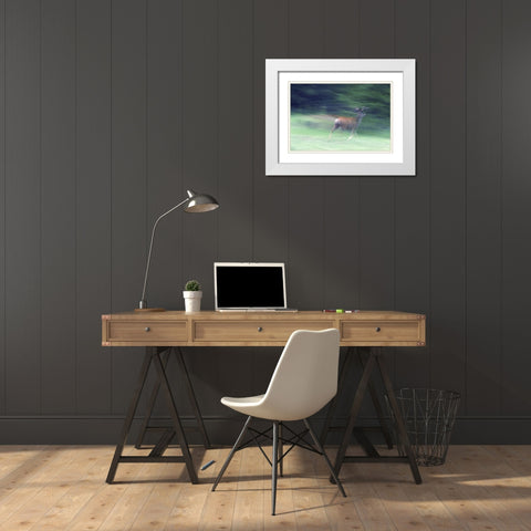 Canada, Alberta, Jasper NP Mule deer running White Modern Wood Framed Art Print with Double Matting by Delisle, Gilles