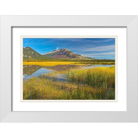 Canada-Alberta-Jasper National Park Reflections in Jasper Lake White Modern Wood Framed Art Print with Double Matting by Jaynes Gallery