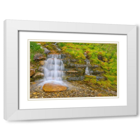 Canada-Alberta-Banff National Park Creek and waterfall scenic White Modern Wood Framed Art Print with Double Matting by Jaynes Gallery