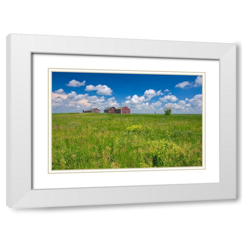 Canada-Alberta-Oyen Granaries in field of grass White Modern Wood Framed Art Print with Double Matting by Jaynes Gallery