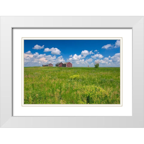 Canada-Alberta-Oyen Granaries in field of grass White Modern Wood Framed Art Print with Double Matting by Jaynes Gallery