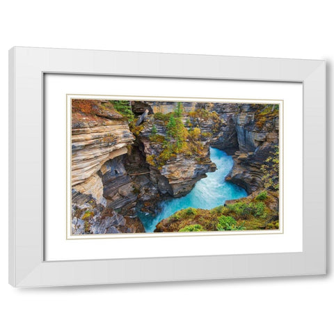 Canada-Alberta-Jasper National Park Athabasca River at Athabasca Falls White Modern Wood Framed Art Print with Double Matting by Jaynes Gallery