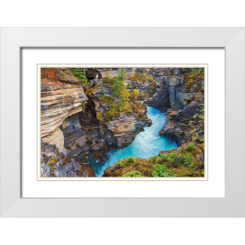 Canada-Alberta-Jasper National Park Athabasca River at Athabasca Falls White Modern Wood Framed Art Print with Double Matting by Jaynes Gallery