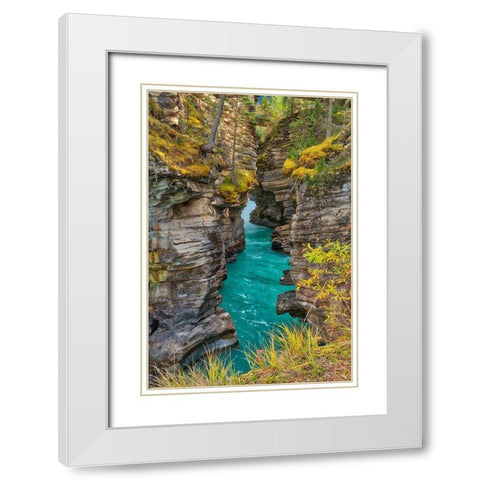 Canada-Alberta-Jasper National Park Athabasca River at Athabasca Falls White Modern Wood Framed Art Print with Double Matting by Jaynes Gallery