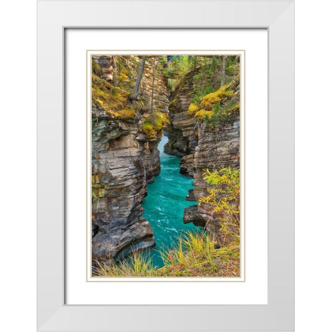 Canada-Alberta-Jasper National Park Athabasca River at Athabasca Falls White Modern Wood Framed Art Print with Double Matting by Jaynes Gallery