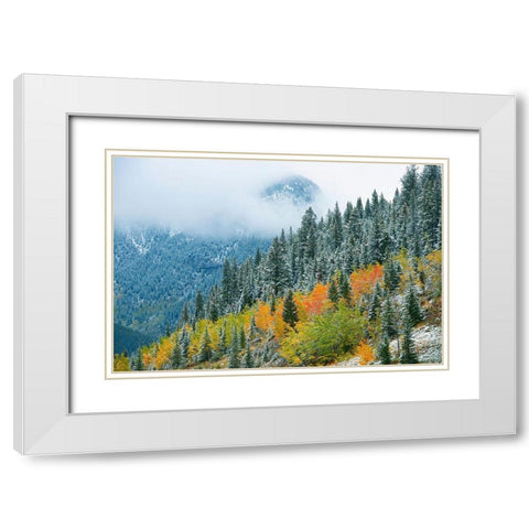 Canada-Alberta Fog in Canadian Rocky Mountains White Modern Wood Framed Art Print with Double Matting by Jaynes Gallery