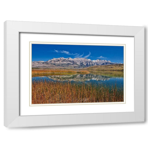 Canada-Alberta-Jasper National Park Reflections in Talbot Lake White Modern Wood Framed Art Print with Double Matting by Jaynes Gallery