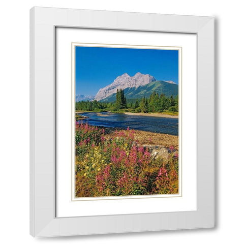 Canada-Alberta-Kananaskis Country Landscape with mountain-stream and fireweed flowers White Modern Wood Framed Art Print with Double Matting by Jaynes Gallery