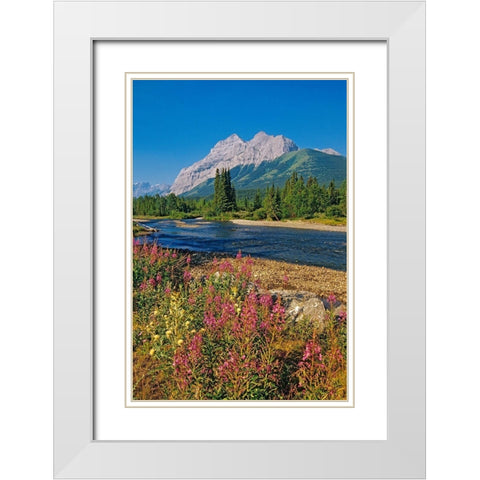 Canada-Alberta-Kananaskis Country Landscape with mountain-stream and fireweed flowers White Modern Wood Framed Art Print with Double Matting by Jaynes Gallery