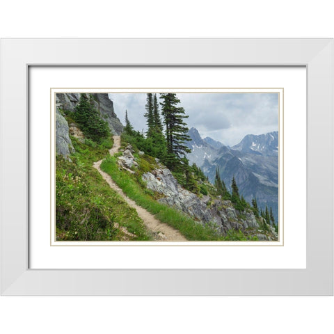Abbott Ridge Trail along cliffs below Mount Abbott Selkirk Mountains Glacier National Park White Modern Wood Framed Art Print with Double Matting by Majchrowicz, Alan