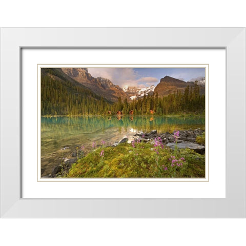 Canada, Yoho NP Lodge and forest by Lake Ohara White Modern Wood Framed Art Print with Double Matting by Paulson, Don